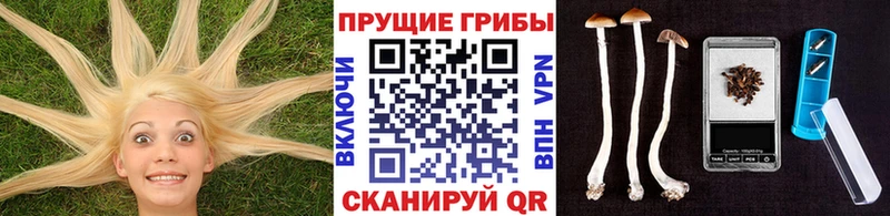Псилоцибиновые грибы MAGIC MUSHROOMS  Купить закладки  Радужный 